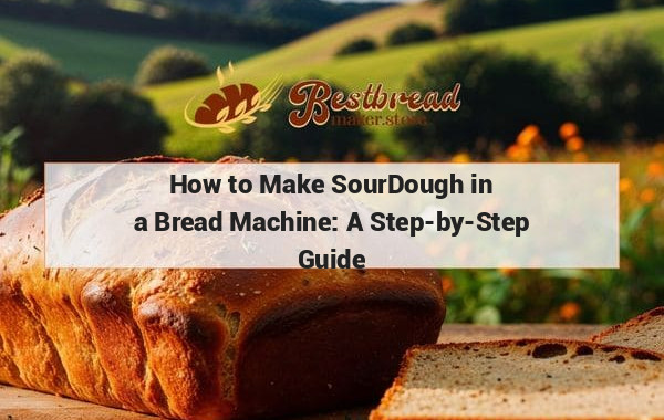 How to Make SourDough in a Bread Machine: A Step-by-Step Guide